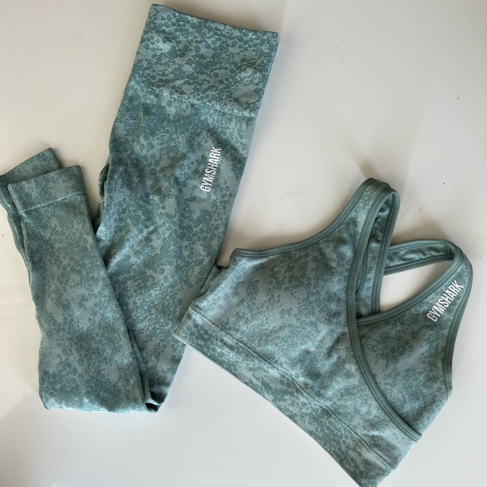 Gym shark set